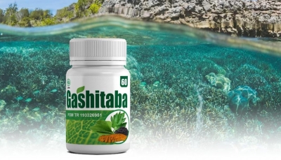 GASHITABA